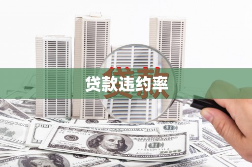 衢州贷款违约率