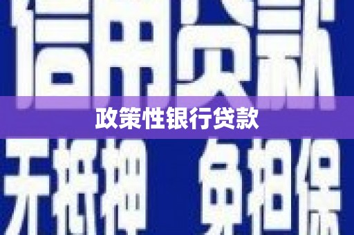 衢州政策性银行贷款