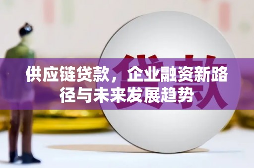 衢州供应链贷款，企业融资新路径与未来发展趋势