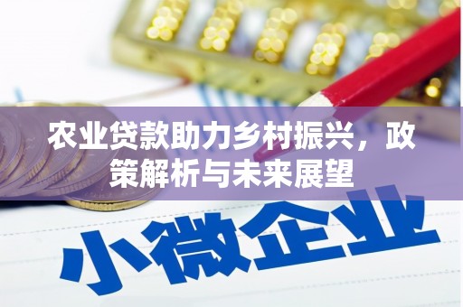 衢州农业贷款助力乡村振兴，政策解析与未来展望