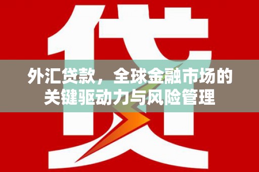 衢州外汇贷款，全球金融市场的关键驱动力与风险管理