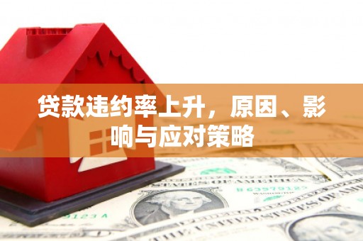衢州贷款违约率上升，原因、影响与应对策略