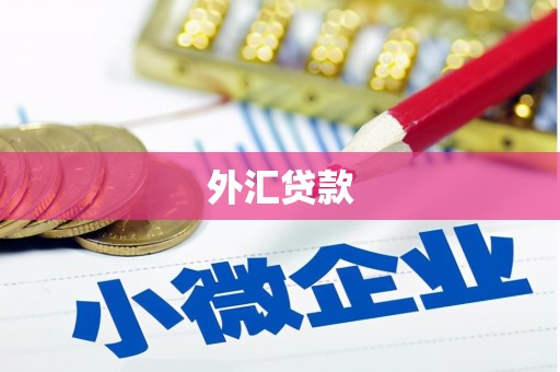 衢州外汇贷款