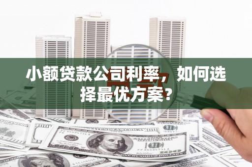 衢州小额贷款公司利率，如何选择最优方案？