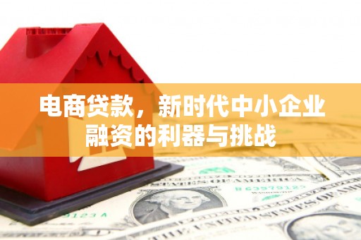 衢州电商贷款，新时代中小企业融资的利器与挑战