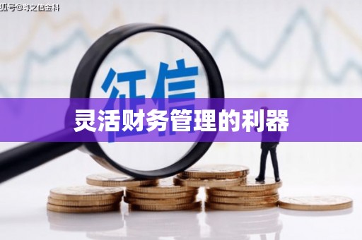 衢州灵活财务管理的利器
