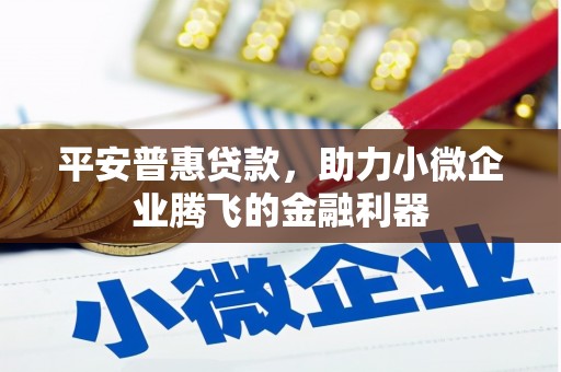 衢州平安普惠贷款，助力小微企业腾飞的金融利器