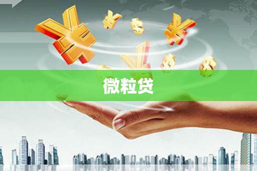 衢州微粒贷