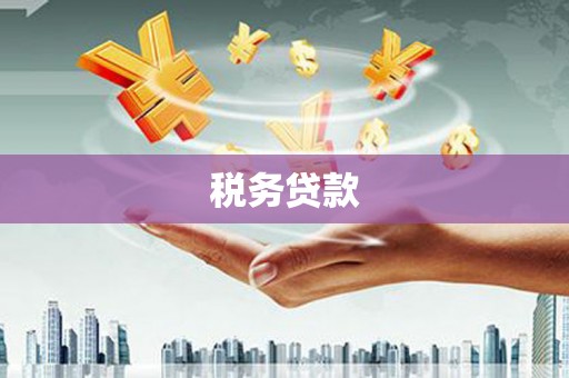 衢州税务贷款
