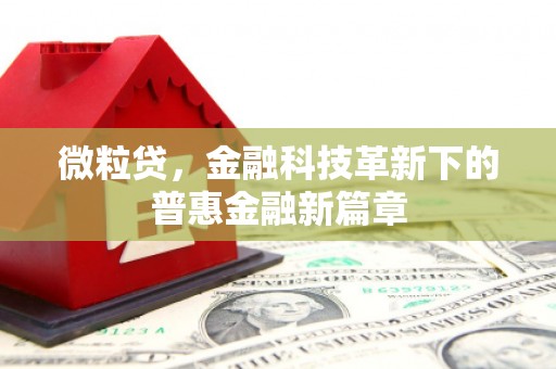 衢州微粒贷，金融科技革新下的普惠金融新篇章