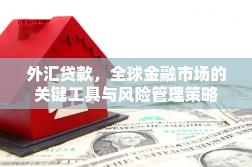 衢州外汇贷款，全球金融市场的关键工具与风险管理策略