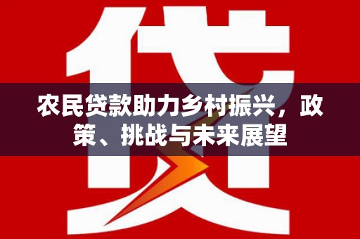 衢州农民贷款助力乡村振兴，政策、挑战与未来展望