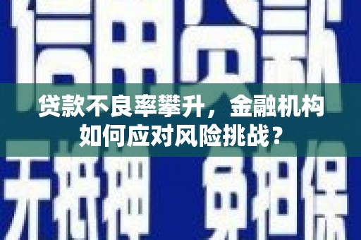 衢州贷款不良率攀升，金融机构如何应对风险挑战？