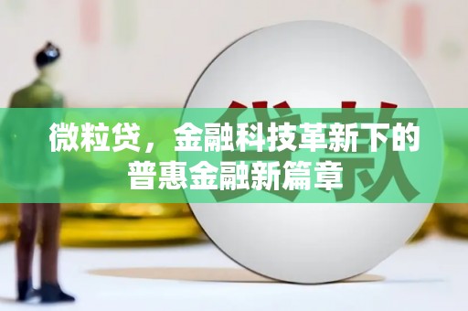 衢州微粒贷，金融科技革新下的普惠金融新篇章