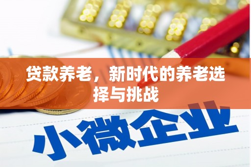 衢州贷款养老，新时代的养老选择与挑战