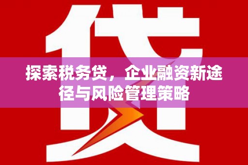 衢州探索税务贷，企业融资新途径与风险管理策略