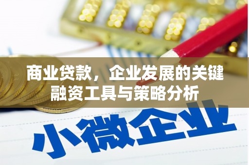 衢州商业贷款，企业发展的关键融资工具与策略分析