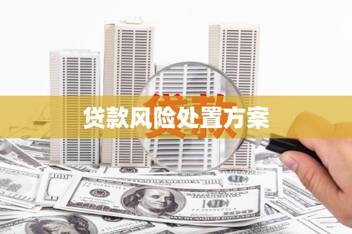 衢州贷款风险处置方案