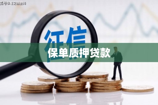 衢州保单质押贷款
