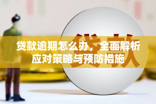 衢州贷款逾期怎么办，全面解析应对策略与预防措施