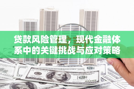 衢州贷款风险管理，现代金融体系中的关键挑战与应对策略