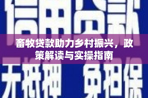 衢州畜牧贷款助力乡村振兴，政策解读与实操指南