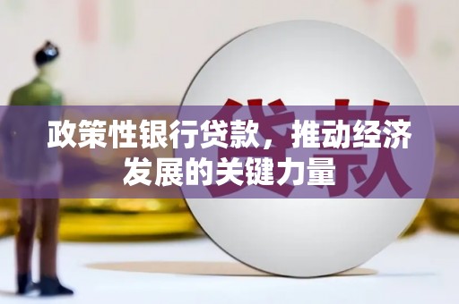 衢州政策性银行贷款，推动经济发展的关键力量