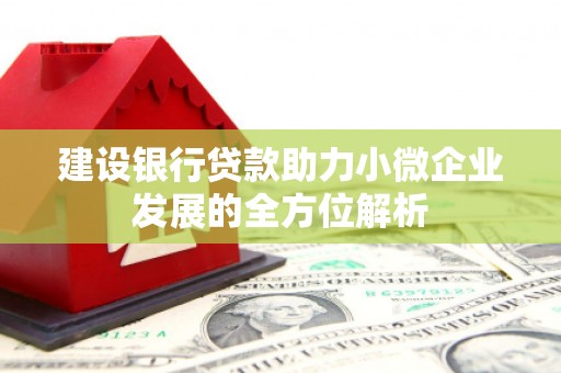 衢州建设银行贷款助力小微企业发展的全方位解析