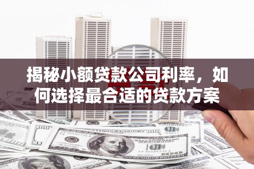 衢州揭秘小额贷款公司利率，如何选择最合适的贷款方案