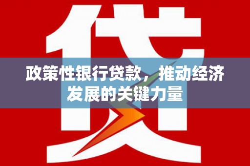 衢州政策性银行贷款，推动经济发展的关键力量