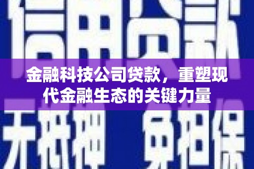 衢州金融科技公司贷款，重塑现代金融生态的关键力量