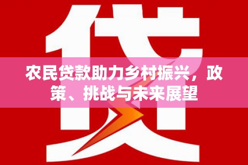 衢州农民贷款助力乡村振兴，政策、挑战与未来展望