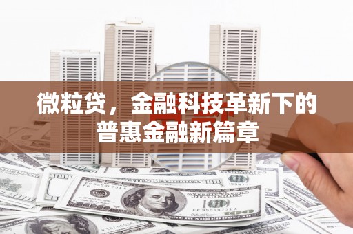 衢州微粒贷，金融科技革新下的普惠金融新篇章