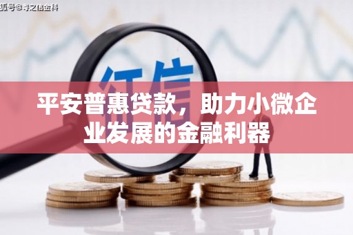 衢州平安普惠贷款，助力小微企业发展的金融利器