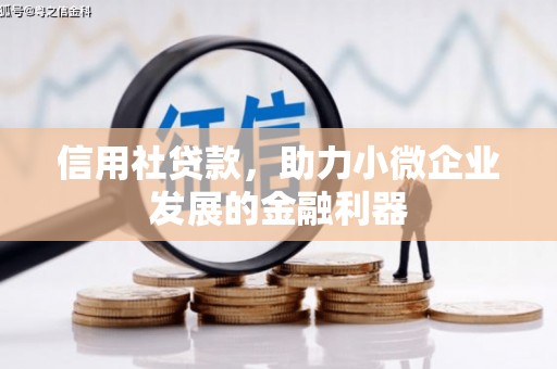 衢州信用社贷款，助力小微企业发展的金融利器
