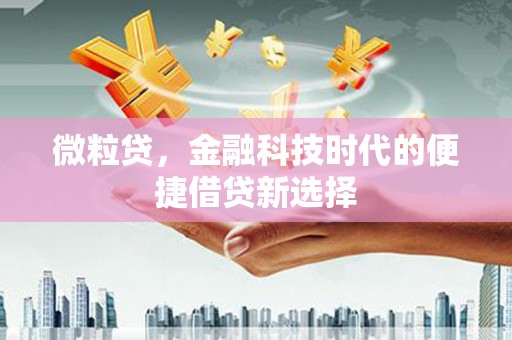 衢州微粒贷，金融科技时代的便捷借贷新选择