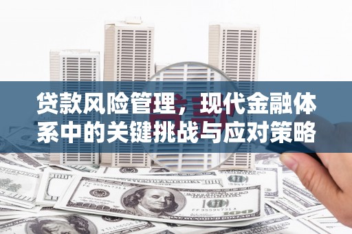 衢州贷款风险管理，现代金融体系中的关键挑战与应对策略