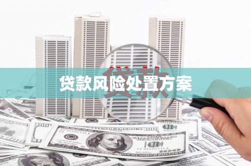 衢州贷款风险处置方案