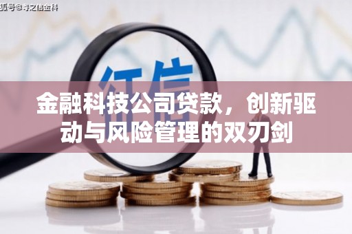 衢州金融科技公司贷款，创新驱动与风险管理的双刃剑